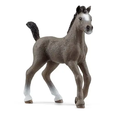 SCHLEICH Zvířátko - Hříbě plemene Selle Français