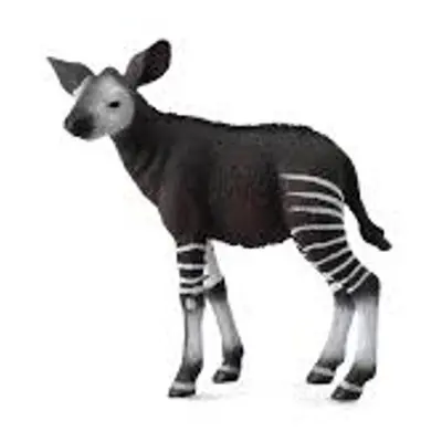 Okapi mládě