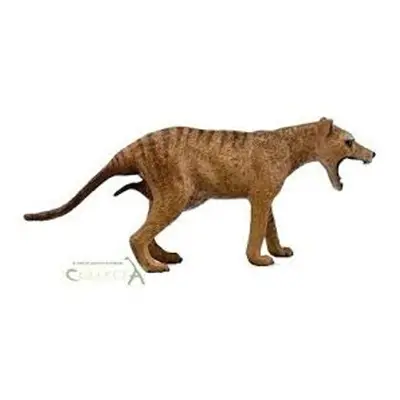 COLLECTA Thylacine (tygr tasmánský)-samice