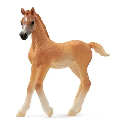 SCHLEICH Zvířátko - arabské hříbě