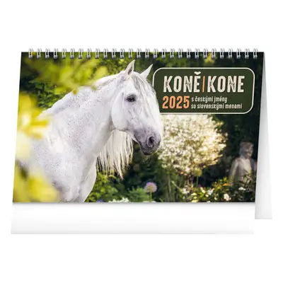 Baagl NOTIQUE Stolní kalendář Koně – Kone CZ/SK 2025, 23,1 x 14,5 cm