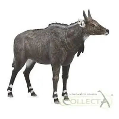 COLLECTA Nilgai