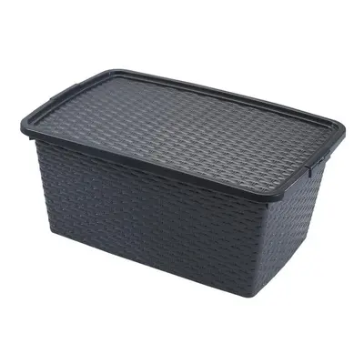 heidrun BOX ÚLOŽNÝ S VÍKEM, 40L, PLAST, 59X39X26CM ASSORT