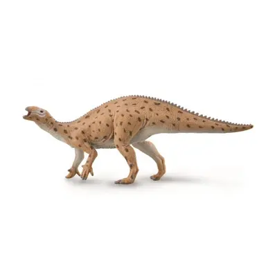 Fukuisaurus