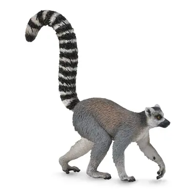 Lemur kata