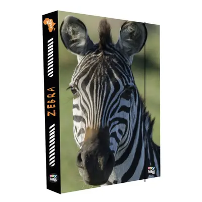 Karton P+P Box na sešity A4 Jumbo Zebra KT8-76923