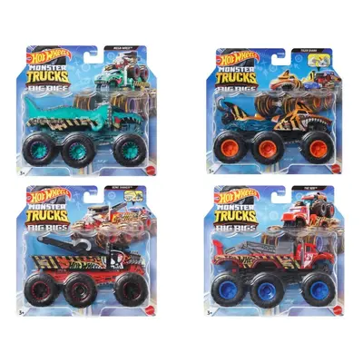 HW MONSTER TRUCKS NÁKLAĎÁČKY 1:64 ASST