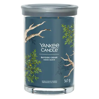 Yankee Candle Tumbler Bayside Cedar vonná svíčka 567 g