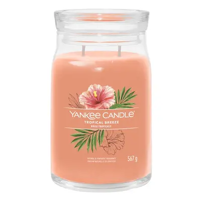 Yankee Candle Signature Tropical Breeze vonná svíčka 567 g