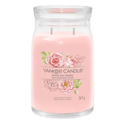 Yankee Candle Signature Fresh Cut Roses vonná svíčka 567 g