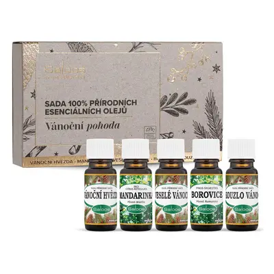 Saloos Vánoční pohoda vonné oleje 5x10 ml