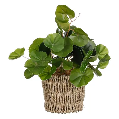 Mica Decorations Umělá pilea v košíčku, pr. 12 x 33 cm