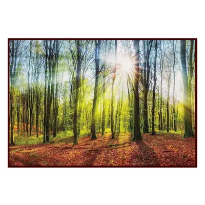 Bondecor Obraz Putframe Les 70 x 100 cm