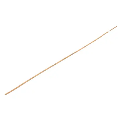 OBI Bambusová tyč 240 cm x průměr cca 2 cm