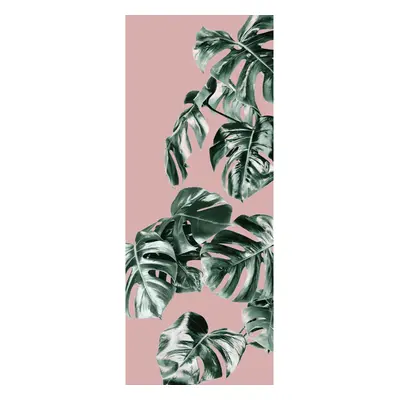 Komar Vliesová fototapeta Monstera Rosé 100 x 250 cm