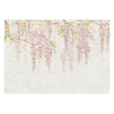 Komar Vliesová fototapeta Wisteria 400 x 280 cm