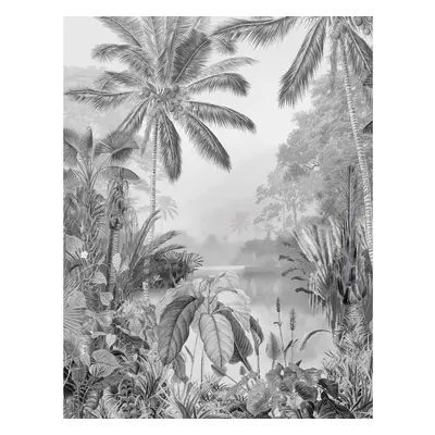 Komar Vliesová fototapeta Lac Tropical Black & White 200 x 280 cm