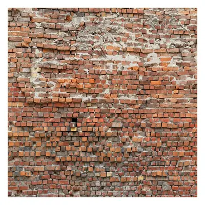 Komar Vliesová fototapeta Bricklane 200 x 250 cm