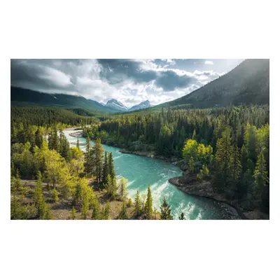 Komar Vliesová fototapeta Wild Canada 450 x 280 cm