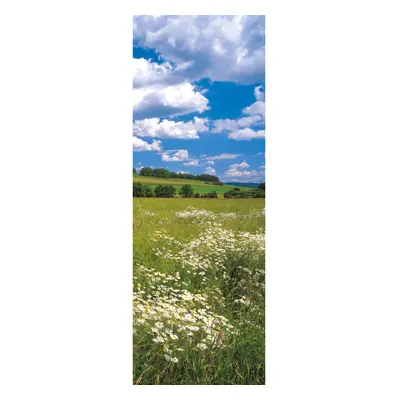 Komar Vliesová fototapeta Meadow 100 x 280 cm