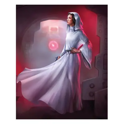 Komar Vliesová fototapeta Star Wars Classic Leia 200 x 250 cm