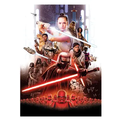 Komar Papírová fototapeta Star Wars EP9 Movie Poster Rey 184 x 254 cm