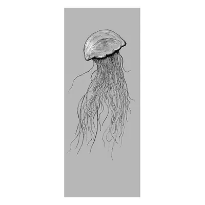 Komar Vliesová fototapeta Jellyfish 100 x 250 cm