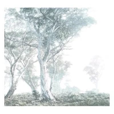 Komar Vliesová fototapeta Magic Trees 300 x 280 cm