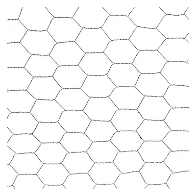 PILECKÝ Chovatelské pletivo 6hranné Hobby Zn pozink oko 25mm výška 50cm 10 m
