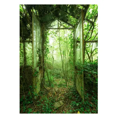 Komar Vliesová fototapeta Greenhouse 200 x 250 cm