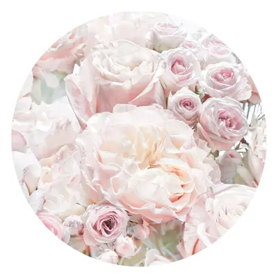 Komar Samolepicí vliesová fototapeta Dot Pink and Cream Roses pr. 125 cm