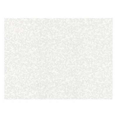 A.S. Creation Vliesová tapeta Shades of White 641618, 10,05 x 0,53 m