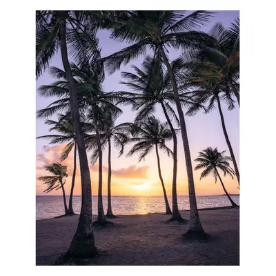 Komar Vliesová fototapeta Palmtrees on Beach 200 x 250 cm