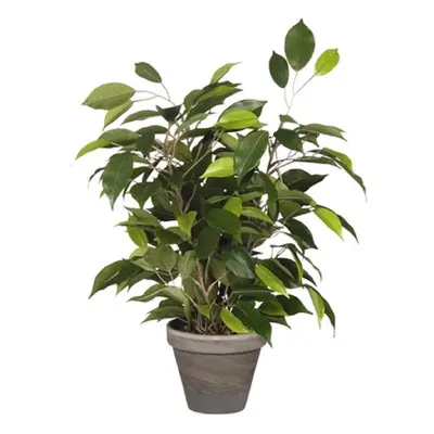 Mica Decorations Umělá květina Ficus Natasaja 40 cm