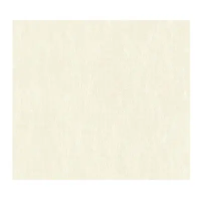 A.S. Creation Vliesová tapeta Shades of White 372406, 10,05 x 0,53 m