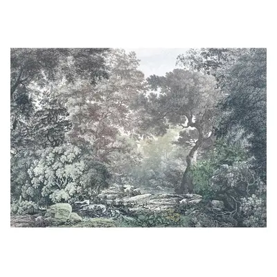 Komar Vliesová fototapeta Fairytale Forest 400 x 280 cm