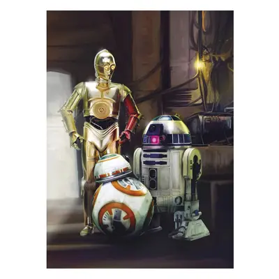 Komar Papírová fototapeta STAR WARS Three Droids, 184 x 254 cm