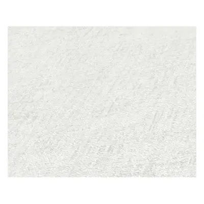 A.S. Creation Vliesová tapeta Shades of White 381973, 10,05 x 0,53 m