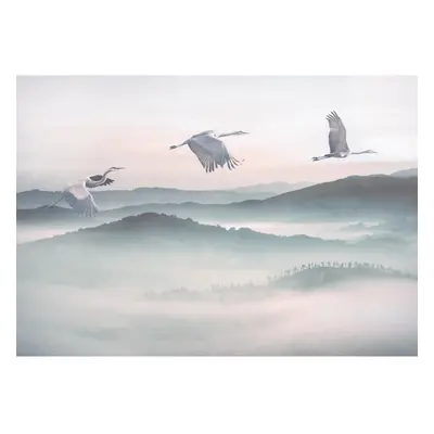 Komar Vliesová fototapeta Mystic Cranes 400 x 280 cm