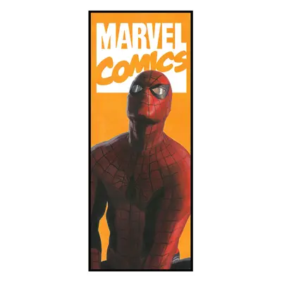 Komar Vliesová fototapeta Spider-Man Comic 100 x 250 cm