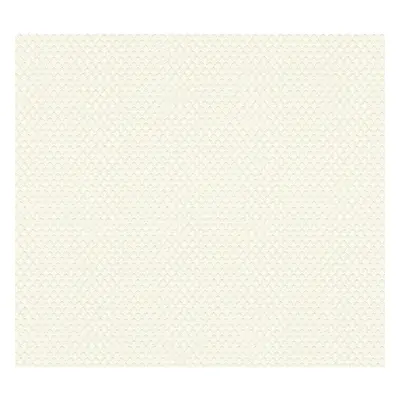 A.S. Creation Vliesová tapeta Shades of White 368972, 10,05 x 0,53 m