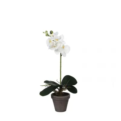 Mica Decorations Umělá orchidej bíla 48 cm