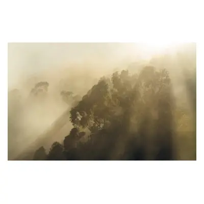 Komar Vliesová fototapeta Misty Mountain 400 x 250 cm