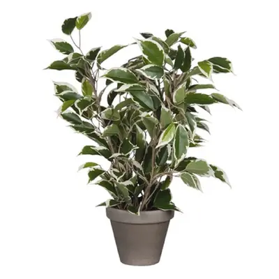 Mica Decorations Umělá květina Ficus Natasaja 40 cm