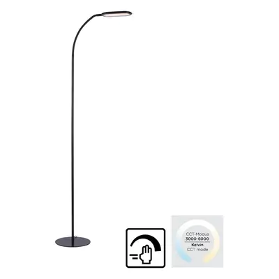 Just Light. Stojací LED lampa Kelly, 7W, 1180lm, 3000-6000K, černá 63 x 175 cm