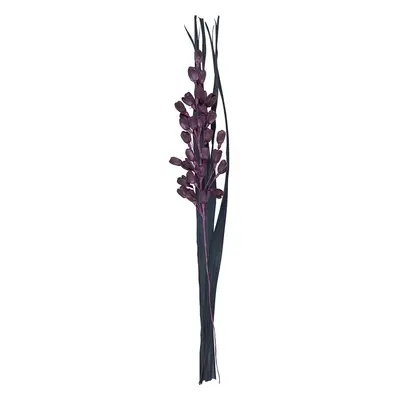 Sušená kytice Lilie Midnight Mystery purpurově černá, 95 cm