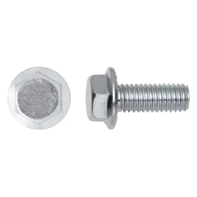 Metrický přírubový šroub s podložkou M6x20 mm, 8 ks