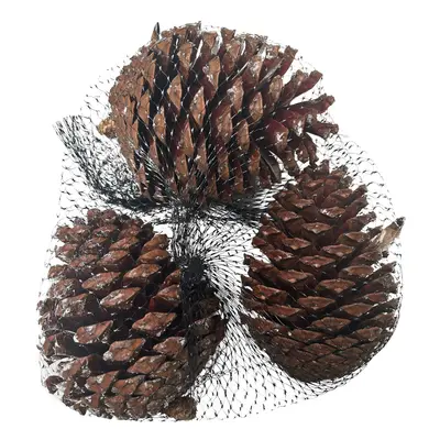 Mica Decorations Přírodní dekorace v sáčku - šišky 220 g