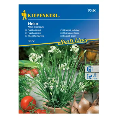 KIEPENKERL Pažitka čínská (Allium tubersoum) Neko