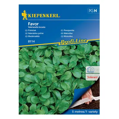 KIEPENKERL Polníček (Valerianella locusta) Favor F1